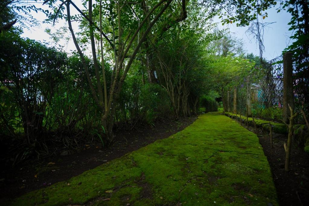 Hotel Kodai International Kodaikanal Exteriör bild